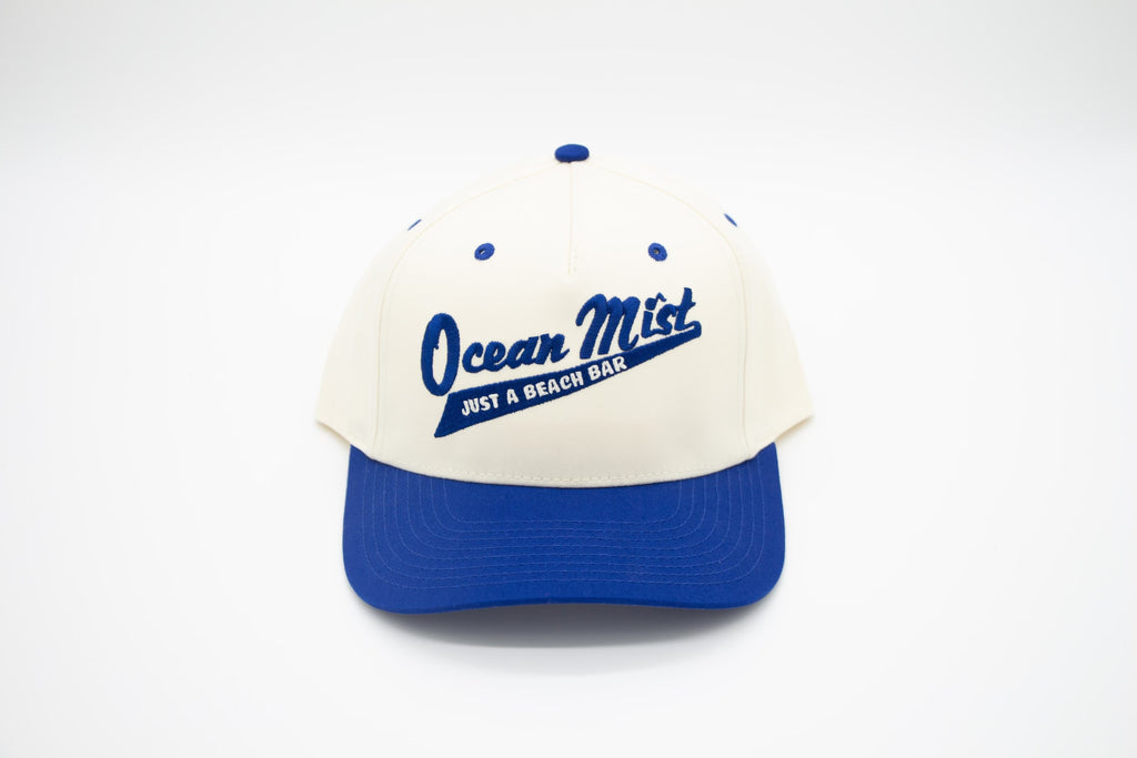 Two Tone Snapback Hat - BLUE