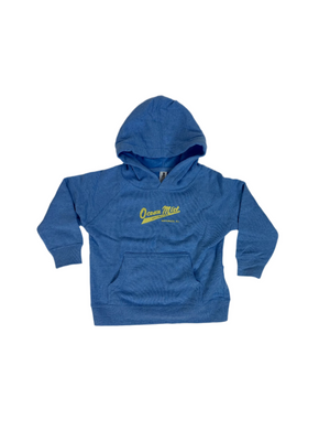 Youth Raglan Hooded Sweatshirt - BLUE/YELLOW